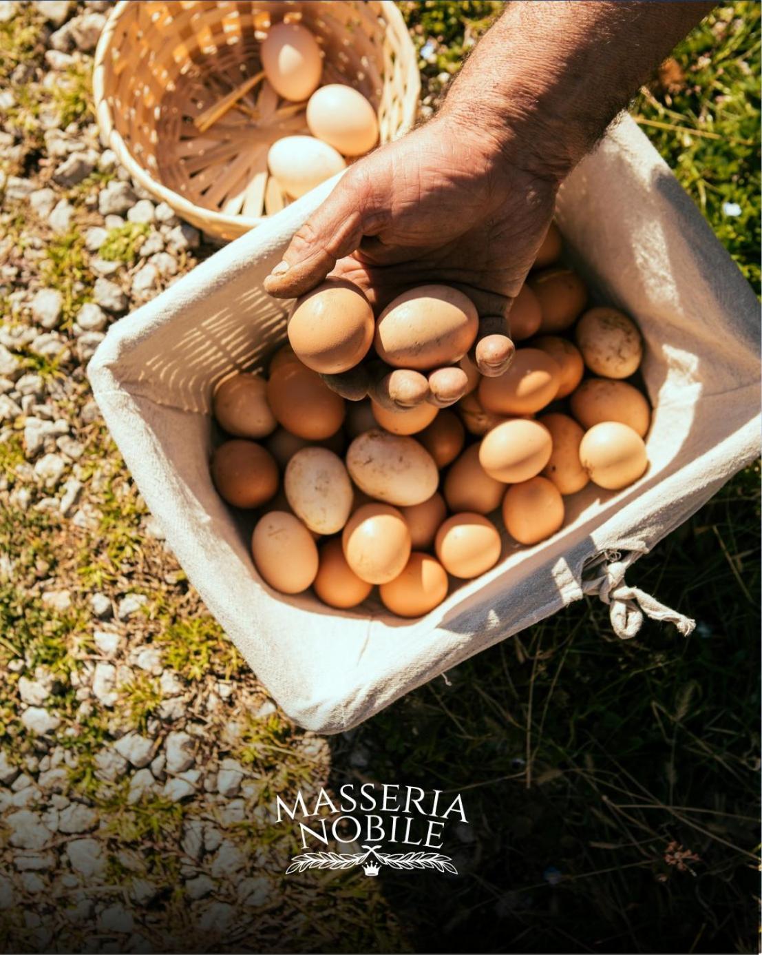 Masseria Nobile Relais Fisciano Esterno foto