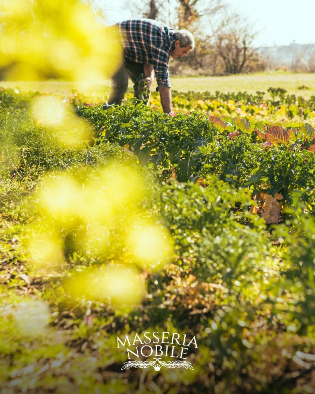 Masseria Nobile Relais Fisciano Esterno foto